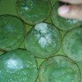 Cooksnap dari Diah untuk resep Bingka Pandan atau Bibingkaan Pandan (kue khas Kal Sel)