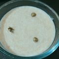 pooja Jha's cooksnap of when they made Meethi Sewai.