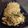 Cooksnap de Anne laure balager sur la recette Poulet et Pak Choï au wok
