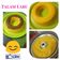 Cooksnap dari cresentya Ivo untuk resep Cake labu kuning kukus dengan tepung beras