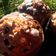 El cooksnap de @tesa.cuina cuando hizo Panettone clásico (Pan dulce de Navidad).