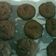 Cooksnap dari Weecky joe untuk resep Chocochip Cookies Crunchy Less Sugar