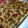 Cooksnap από Bασιλική στη συνταγή Τορτελίνια σουφλέ φούρνου με μπέικον🥓& τυριά🧀