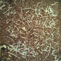 Cooksnap dari Agatha Edogawa untuk resep Brownies panggang (Fudge brownies)