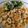 Cooksnap dari Vista untuk resep Sotong goreng crispy