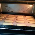 Cooksnap của Rose Truong khi họ làm theo món Bánh quy lưỡi mèo