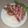 El cooksnap de Yessica Vargh cuando hizo Pollo al horno con ensalada rusa peruana.
