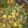 Vinita Jain's cooksnap of when they made Bhindi corn masala.