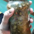 El cooksnap de Brenda Belén Noriega cuando hizo Chimichurri.