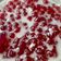 Cooksnap dari Thanty Idf untuk resep Bubur Sagu Mutiara