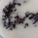 Cooksnap dari Jayanti Stefanny untuk resep BUBUR KETAN HITAM kuah santan