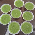 Cooksnap dari novita ronny untuk resep Puding Lumut Hijau 🌿