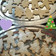El cooksnap de Pikito Docters cuando hizo Galletitas Navideñas.