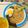 Cooksnap dari Putri zakia Salsabila untuk resep 92. Shoyu Ramen ala Jepang