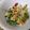 El cooksnap de seilahr cuando hizo Ensalada de rúcula y fresas.