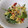 El cooksnap de seilahr cuando hizo Ensalada de rúcula y fresas.