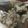 Mrs Oluwakunmi's cooksnap of when they made Goat meat peppersoup.