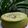 Cooksnap dari Ekawati Asril untuk resep Bolu pandan lembut.