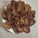 Rekha Vora's cooksnap of when they made બારડોલી ના કડક પાત્રા.