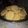 El cooksnap de Ines 🇺🇾 cuando hizo Galletitas de limón.