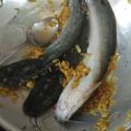 Cooksnap dari Dewi Rieka untuk resep Bumbu Marinasi Lele Goreng simple