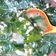Cooksnap dari Juwita Dewiningtyas untuk resep Miyeok-guk (Sup Rumput Laut) ☆Minggu 15☆
