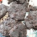 El cooksnap de Vale Espinoza cuando hizo Galletitas de Chocolate.