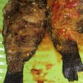 Cooksnap dari Syifa Li untuk resep Pecak Ikan Mujaer Khas Betawi