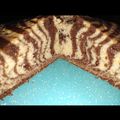 El cooksnap de Jessi B 🍀🇺🇾 cuando hizo Torta cebra.