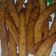 Cooksnap dari Zhy Zhye untuk resep 98. Dates Stick / Stik Kurma (Snack MPASI 1y+)