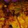 Cooksnap dari Bellesa untuk resep Perkedel jagung crunchy