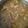 Cooksnap dari Nur Yati untuk resep Chicken Mushroom Ginger Soup