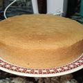El cooksnap de Gimena Pacheco cuando hizo Bizcochuelo 3 huevos fácil económico y barato para los mates o tu café 😋👨‍🍳☺️.