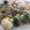 El cooksnap de •Júlia• cuando hizo Pasta con brócoli y coliflor .