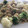 El cooksnap de •Júlia• cuando hizo Pasta con brócoli y coliflor .