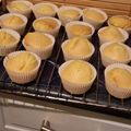 jerry ryan's cooksnap of when they made 10 Minute Muffins with Bread Flour.