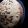 El cooksnap de Healthy cuando hizo Bizcochuelo casero.