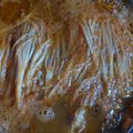 Cooksnap dari NabilaNasuha untuk resep Tomyam Noodle Soup