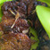 Cooksnap dari MmRFFNSTY untuk resep 🎯Tempe Bakar Teflon
