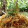 Cooksnap dari Anis Lutfia untuk resep Bihun Goreng Cabe Hijau