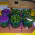 El cooksnap de karlisss cuando hizo Conservando el Cilantro en Oliva.