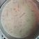 Vyaka का कुकस्नैप जब उन्होंने गाजर की खीर (gajar ki kheer recipe in Hindi) बनाया था।