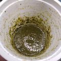 El cooksnap de Luis Oscar Gluchowski cuando hizo Pesto.