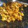 Cooksnap dari Must Gur untuk resep Kentang goreng pedas