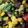miasmommamia's cooksnap of when they made Juicee j's black bean & corn salsa.
