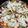صورة من براءة هلال ، شاركها بعد تجربة وصفة بيتزا بالخضار 🍕😋
