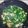 Williann Lam 的 韭菜炒蛋 cooksnap