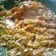 Cooksnap dari Rita D'Fahry untuk resep Sambal Tomat
