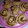 El cooksnap de Junnette Ruiz cuando hizo Rollos de canela.