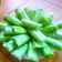 Cooksnap dari Lastri Adgib untuk resep Dadar gulung isi unti kelapa putih